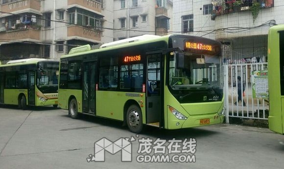 ���� (17).jpg