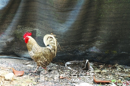 wb20120712a0008_3.jpg
