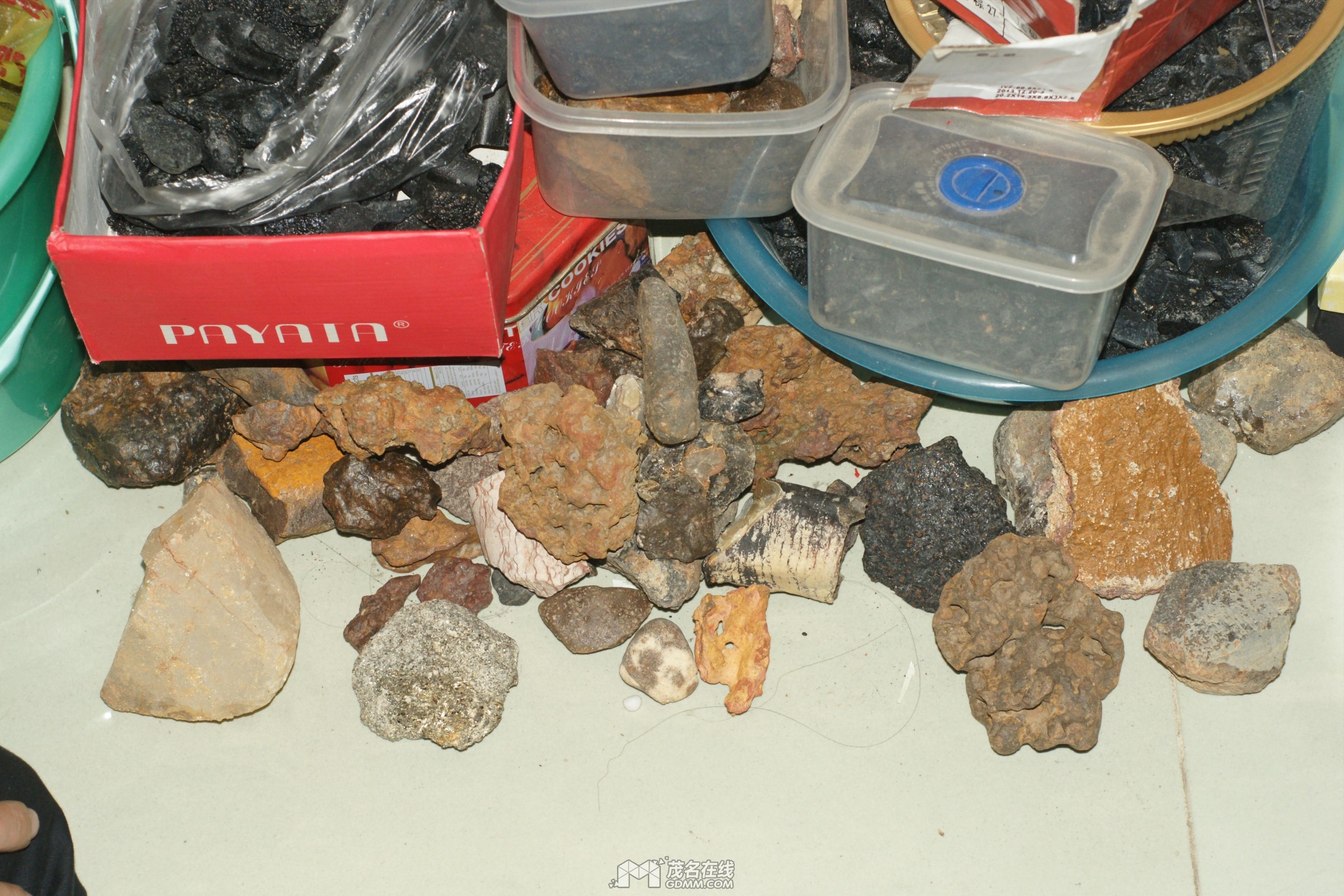 DSC02179.jpg