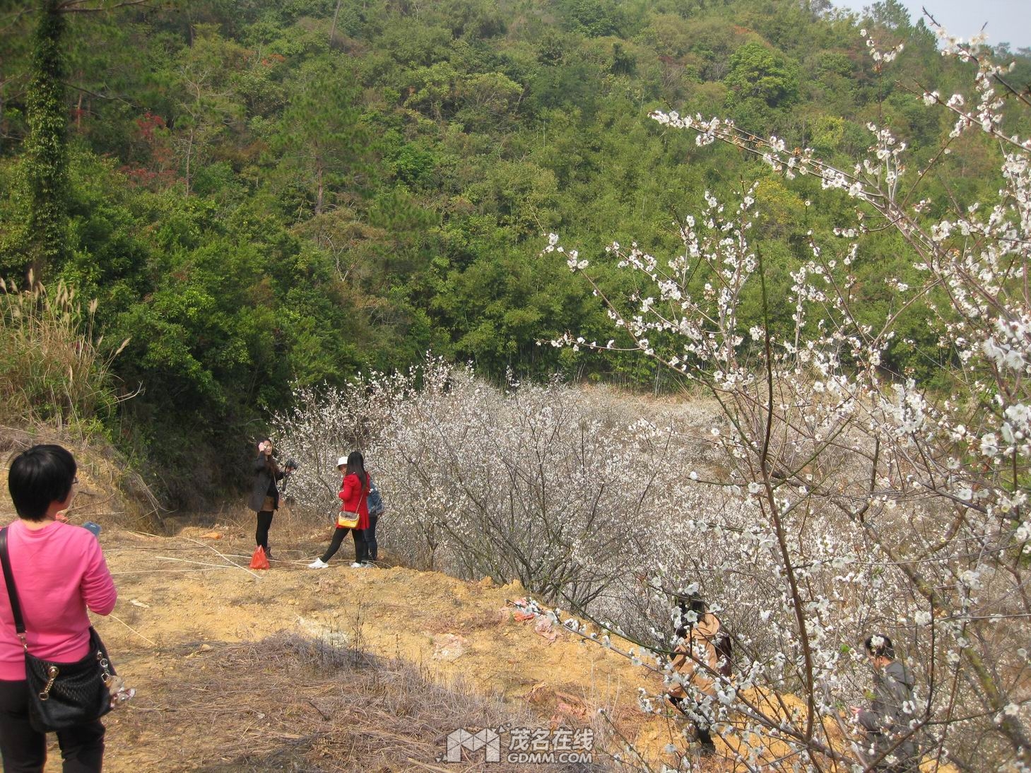 ��Ƭ 069.jpg