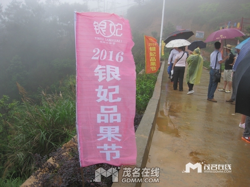 204755naho1py1p6sp8nhx.jpg