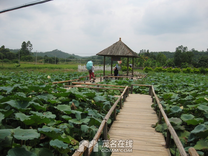 ��Ƭ 098.jpg