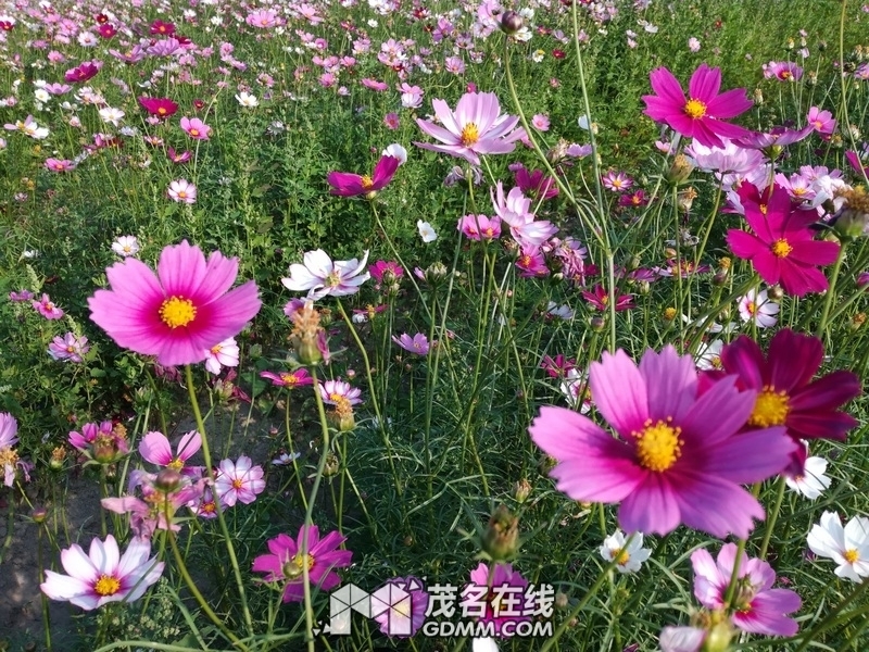 204308p9v1exxl9nlnk92x.jpg