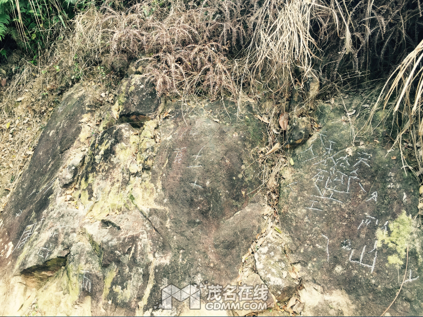 QQ��ͼ20170307222719.png