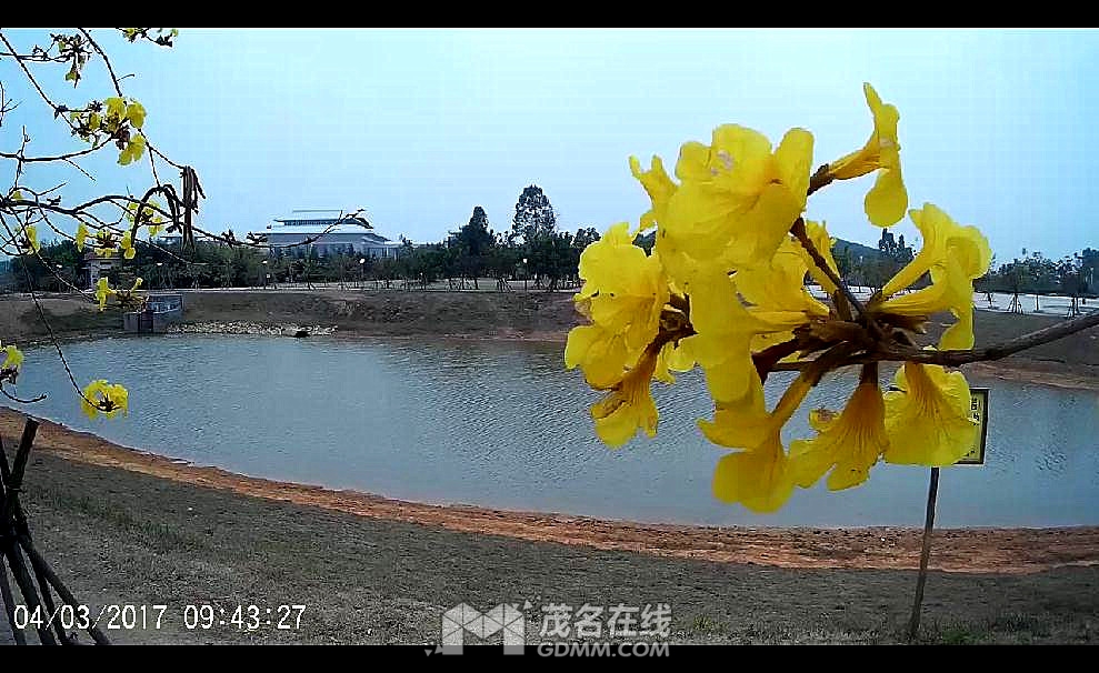 �����ͼ20173106292503_����.jpg
