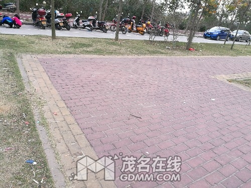 IMG_20170305_181220.jpg