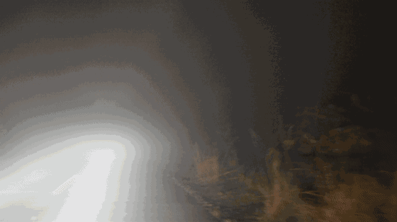 0c84640.gif