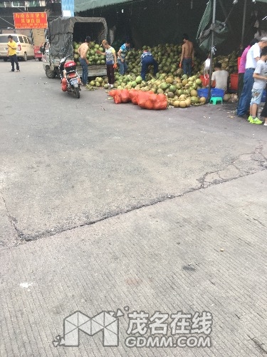 image.jpeg