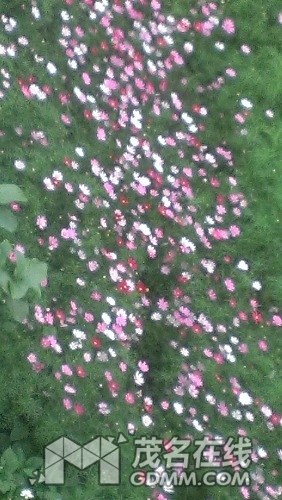IMAG0216.jpg