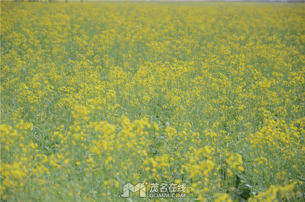 DSC_7629.JPG
