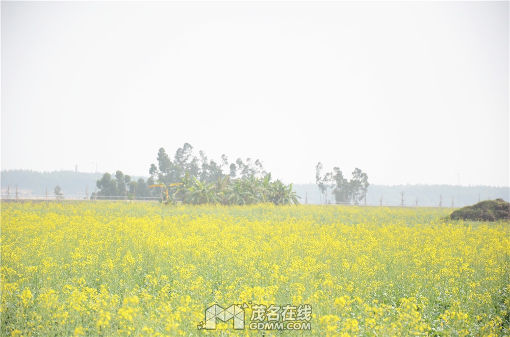 DSC_7614.JPG