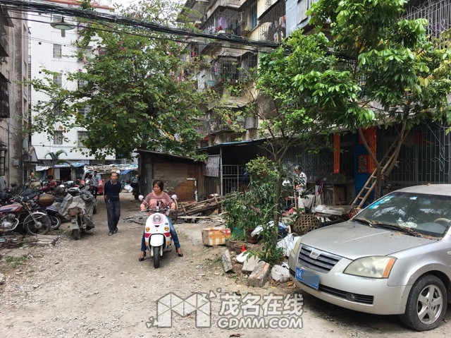 155603ge1ewjq5b515kee5_����.jpg