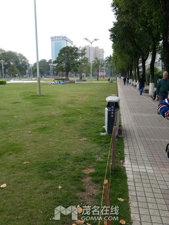 IMG_20170329_164358.jpg