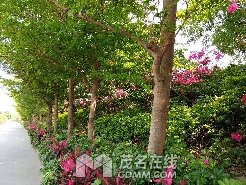 IMG_20170403_152642.jpg