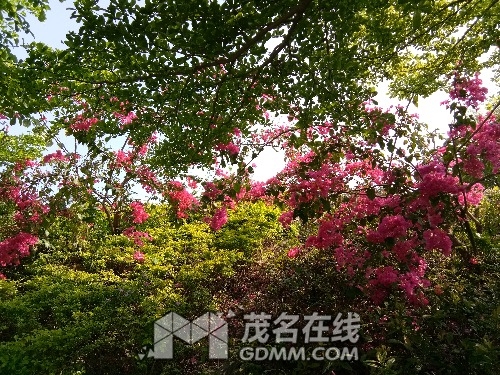 IMG_20170403_152550.jpg