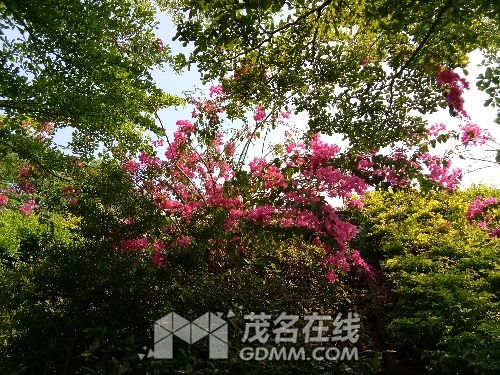 IMG_20170403_152512.jpg