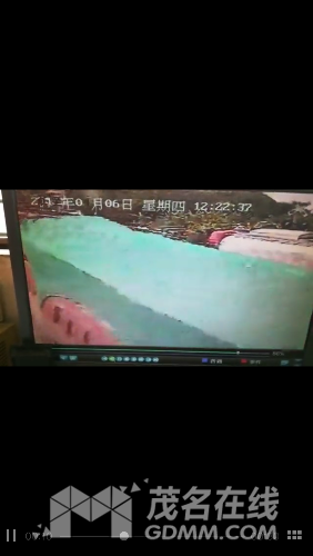 IMG_2799.PNG