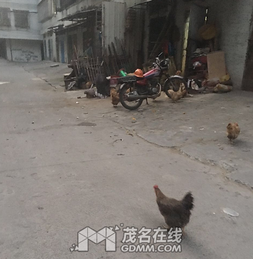 QQ��ͼ20170407153726.png