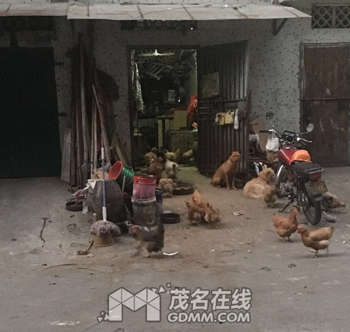 QQ��ͼ20170407153733.png