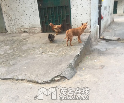 QQ��ͼ20170407153742.png