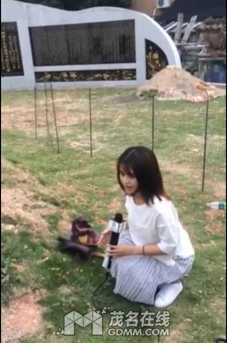 ΢��ͼƬ_20170417114020.png