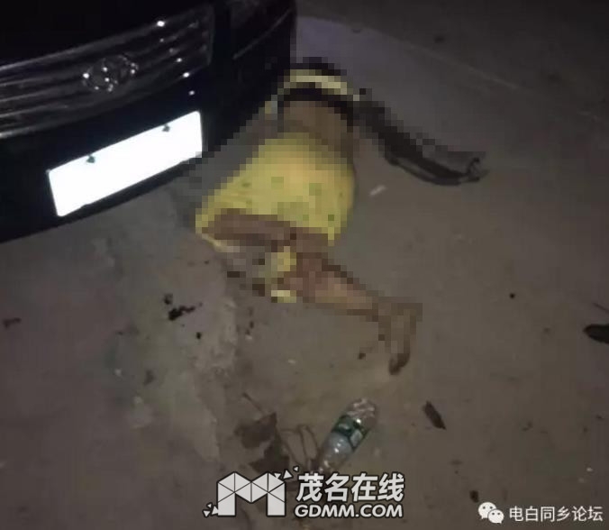 154801sbwy0hztw8c8ptlc.jpg