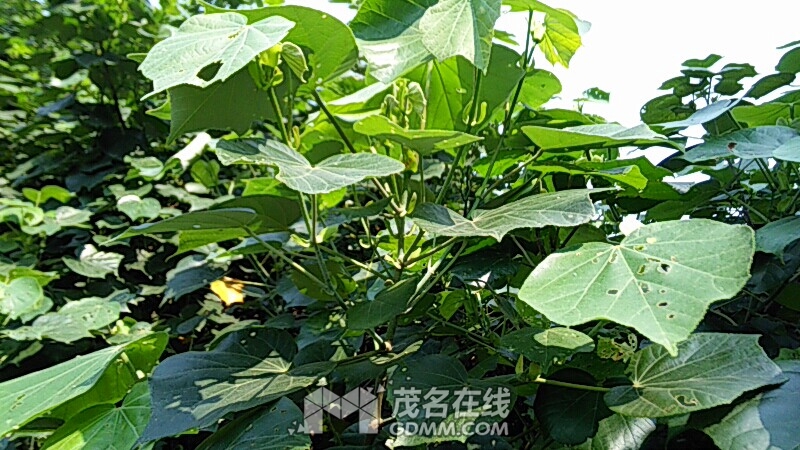 wx_camera_1492668933875.jpg