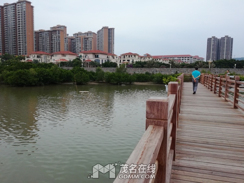 IMG_20170422_164157.jpg