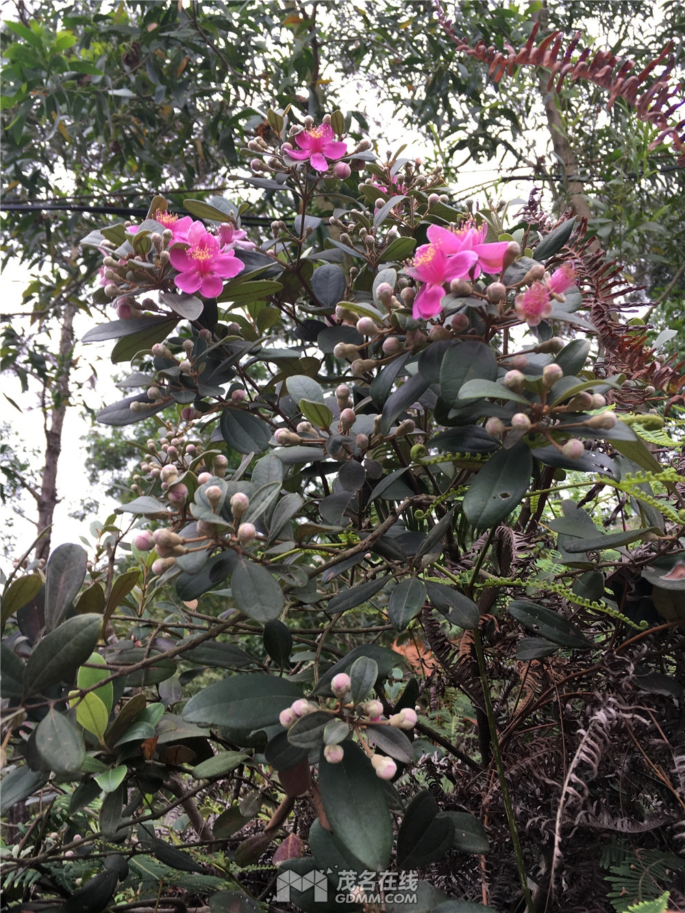 ΢��ͼƬ_20170424093626.jpg