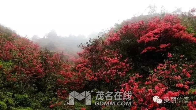 QQͼƬ20170425210329.png