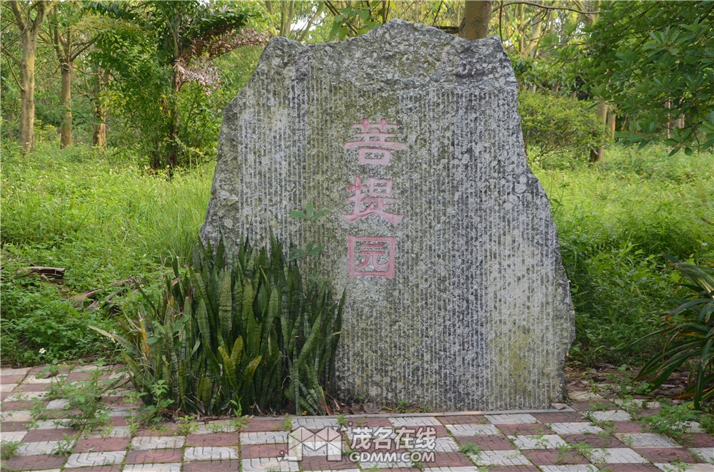 DSC_1282.JPG