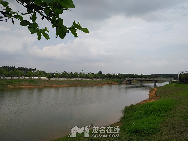 IMG_20170519_152656.jpg