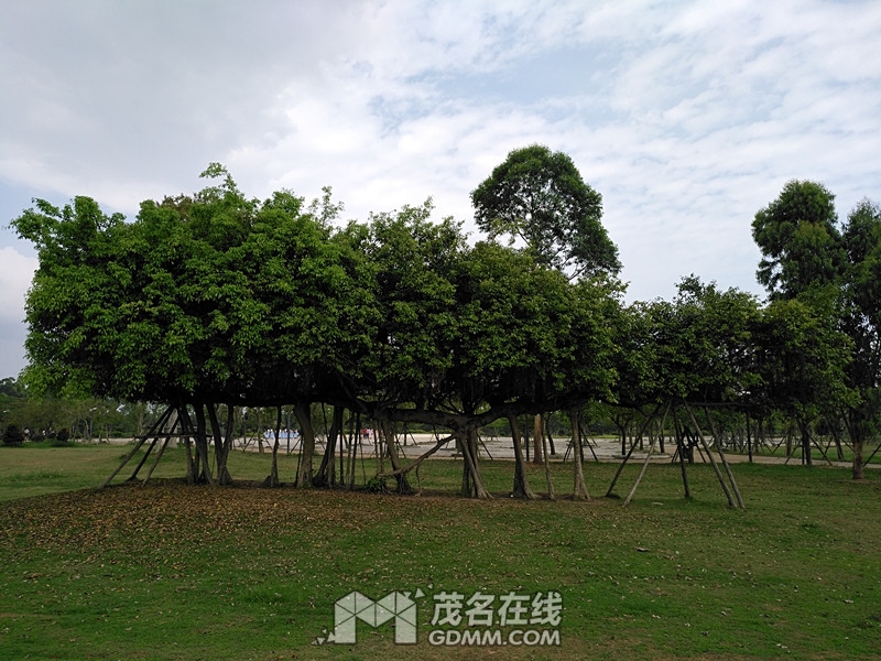IMG_20170519_153227.jpg