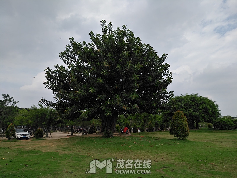 IMG_20170519_153317.jpg
