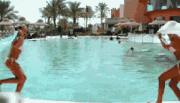 0 (3).gif