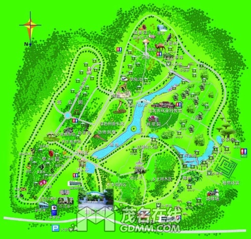mmexport1496467702484.jpg
