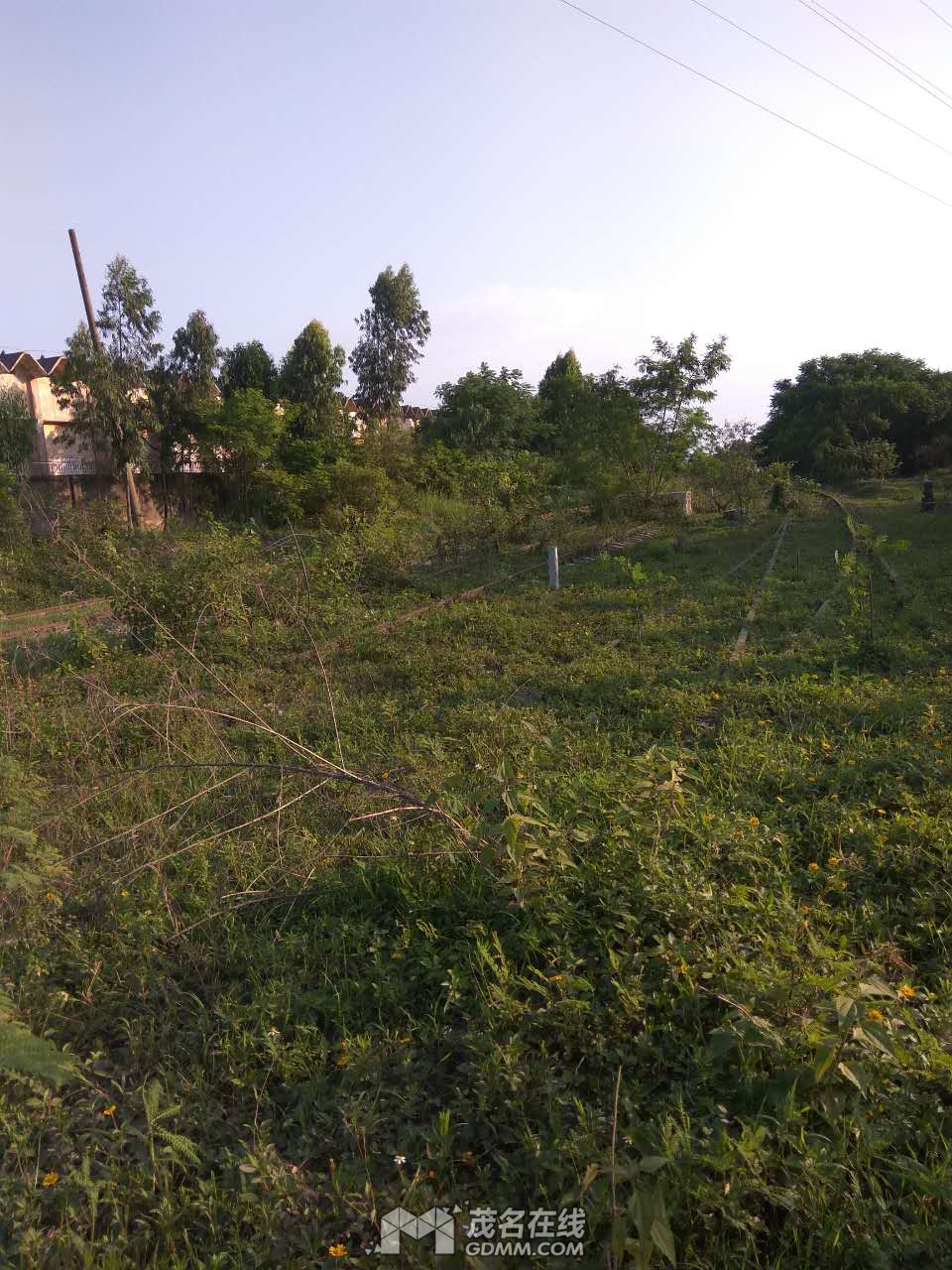 ΢��ͼƬ_20170606142852.jpg