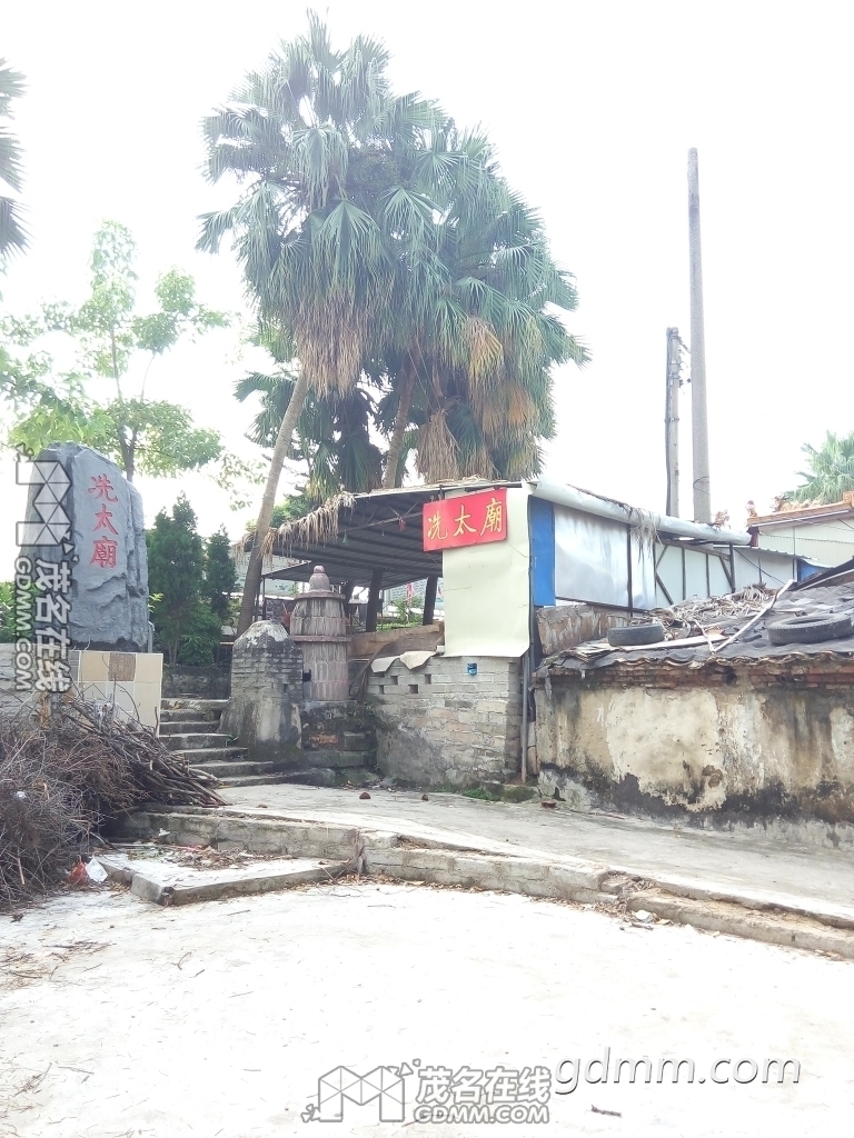 184220jll2d81ry8775105.jpg