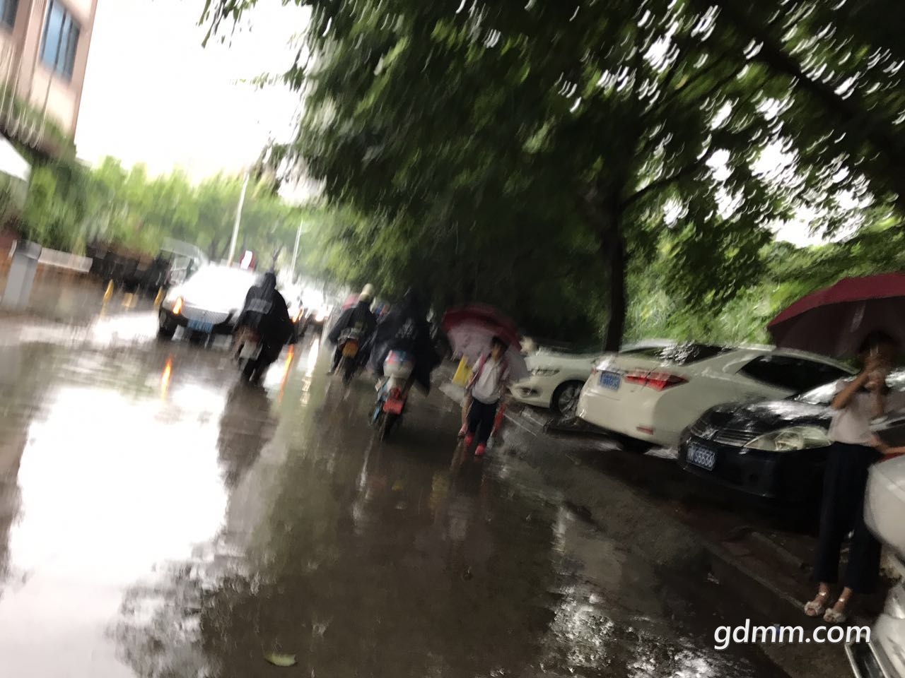 ΢��ͼƬ_20170616115909.jpg