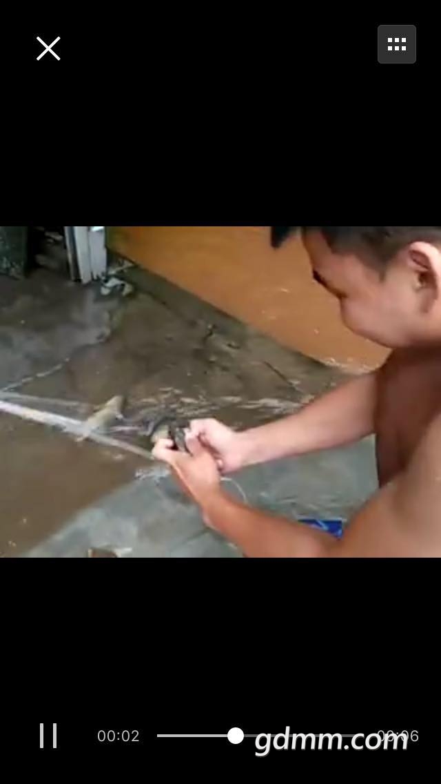 �㶼�ε��ſ��ˣ���ץ�Բ�����