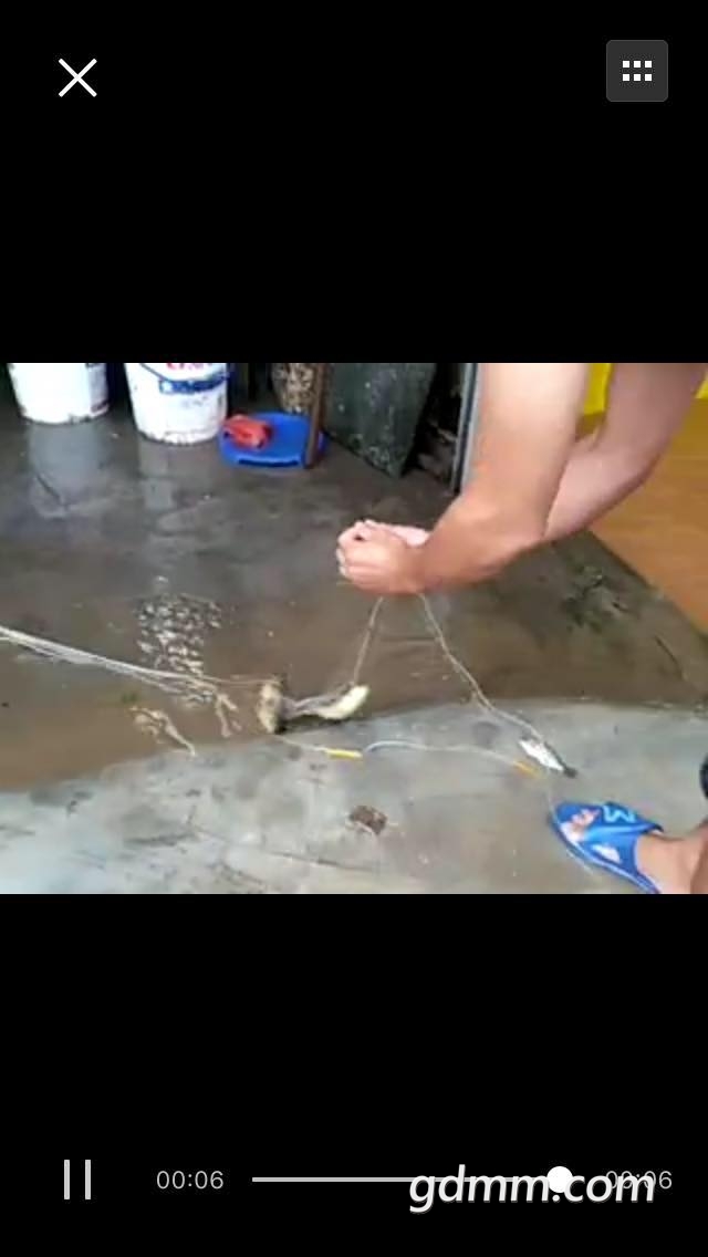 ΢��ͼƬ_20170620173937.jpg