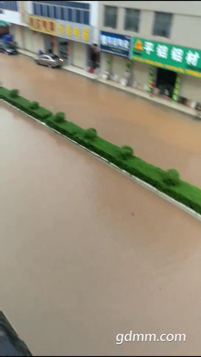 �¹�����·