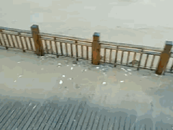 22.gif