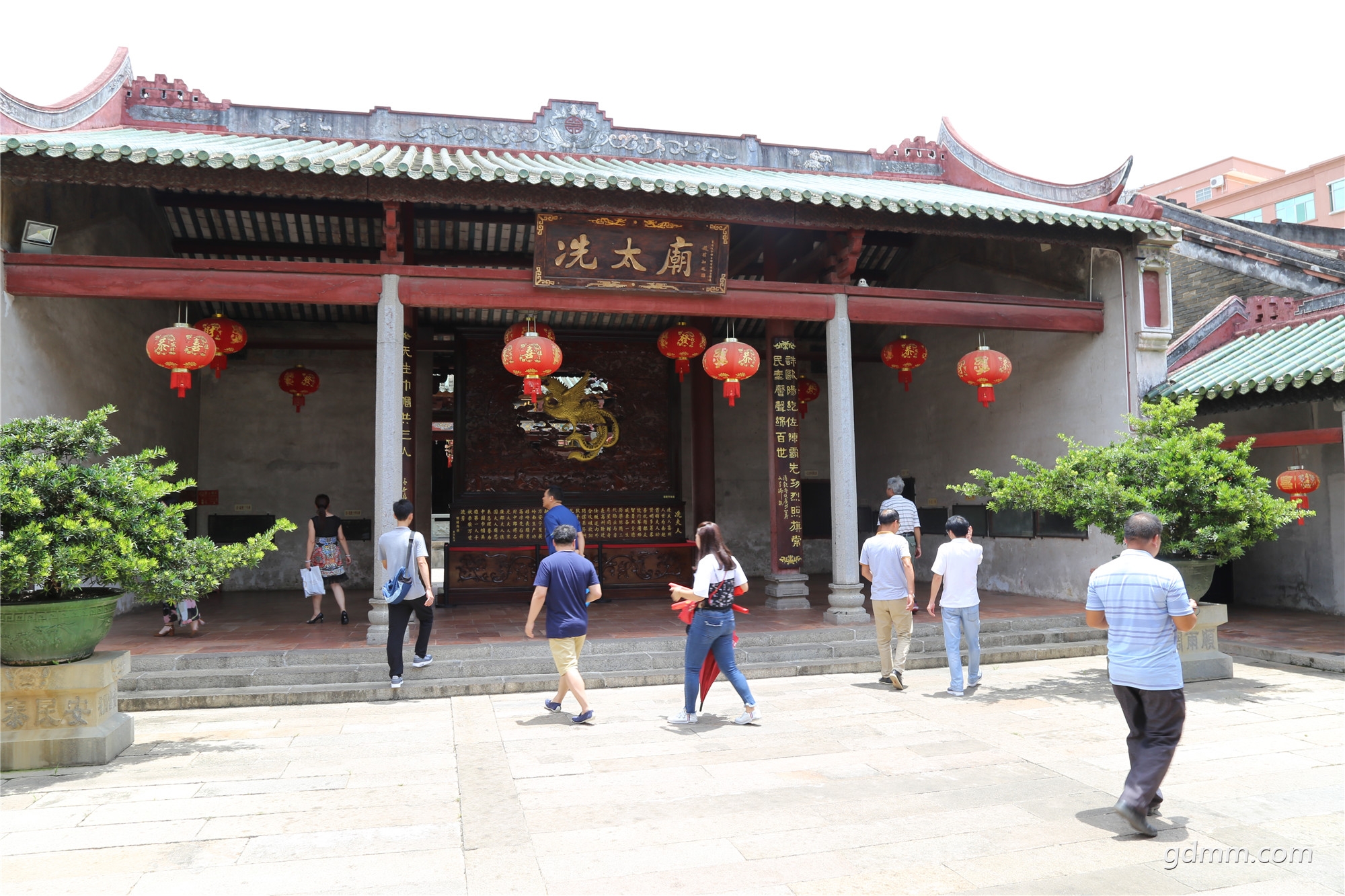 IMG_8455.jpg