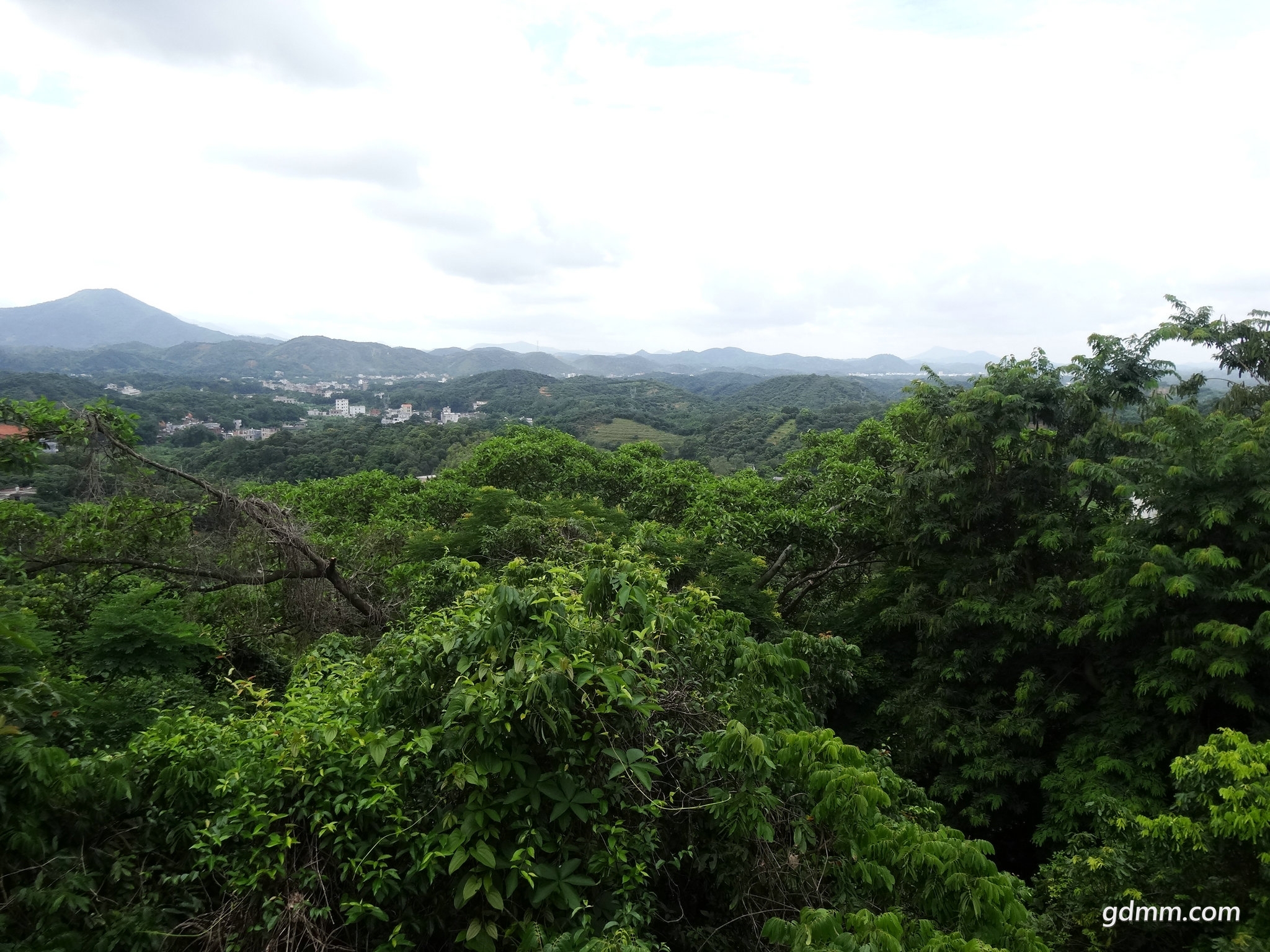 DSC02719.JPG