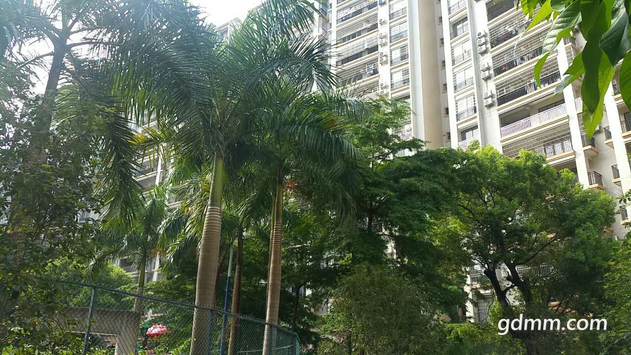 ΢��ͼƬ_20170705093622.jpg