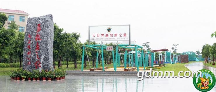 03.jpg