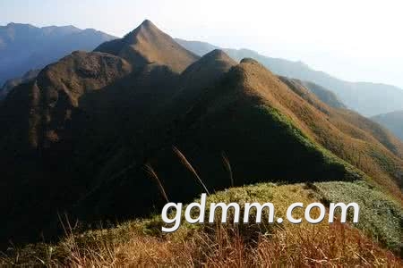 u=2410077162,2818894234&amp;fm=26&amp;gp=0.jpg