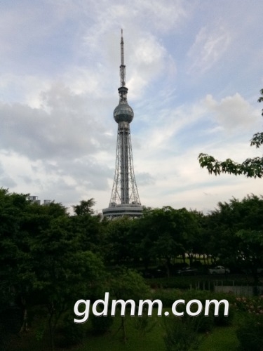 IMG_20170710_175000.jpg