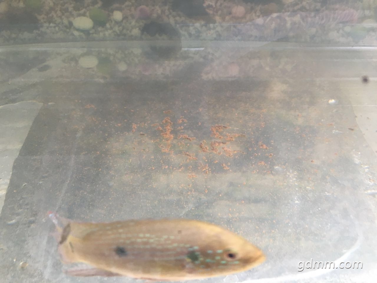 ΢��ͼƬ_20170724094017.jpg
